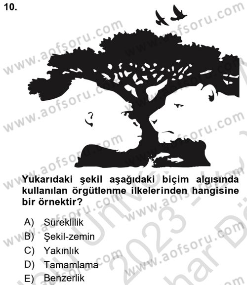 Davranış Bilimleri 2 Dersi 2023 - 2024 Yılı (Vize) Ara Sınavı 10. Soru
