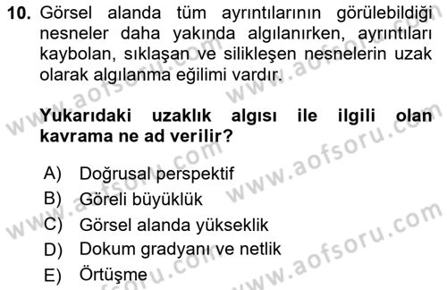 Davranış Bilimleri 2 Dersi 2024 - 2025 Yılı (Vize) Ara Sınav Soruları 10. Soru
