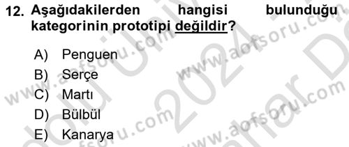 Davranış Bilimleri 2 Dersi 2024 - 2025 Yılı (Vize) Ara Sınav Soruları 12. Soru