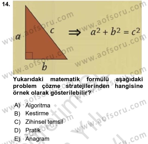 Davranış Bilimleri 2 Dersi 2024 - 2025 Yılı (Vize) Ara Sınav Soruları 14. Soru