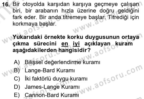 Davranış Bilimleri 2 Dersi 2024 - 2025 Yılı (Vize) Ara Sınav Soruları 16. Soru
