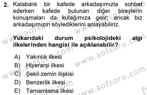 Davranış Bilimleri 2 Dersi 2024 - 2025 Yılı (Vize) Ara Sınav Soruları 2. Soru