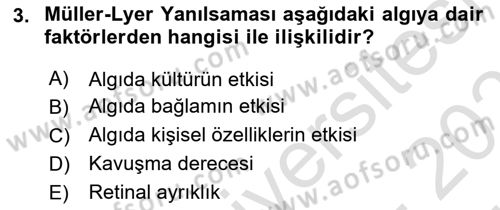 Davranış Bilimleri 2 Dersi 2024 - 2025 Yılı (Vize) Ara Sınav Soruları 3. Soru