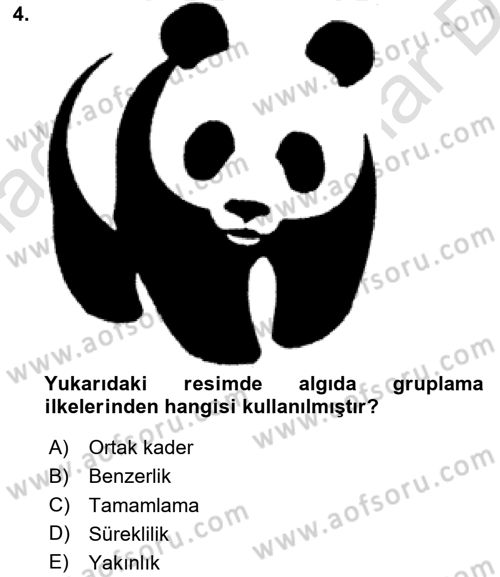 Davranış Bilimleri 2 Dersi 2024 - 2025 Yılı (Vize) Ara Sınav Soruları 4. Soru