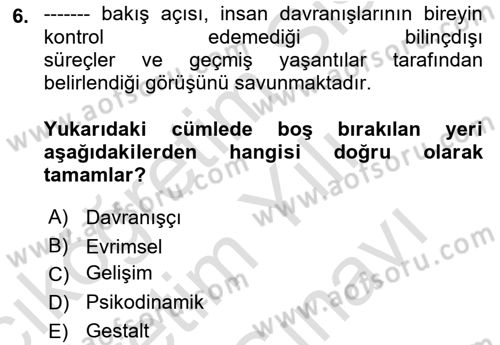 Davranış Bilimleri 2 Dersi 2024 - 2025 Yılı (Vize) Ara Sınav Soruları 6. Soru