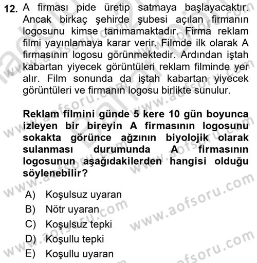 Davranış Bilimleri 2 Dersi 2024 - 2025 Yılı (Final) Dönem Sonu Sınav Soruları 12. Soru