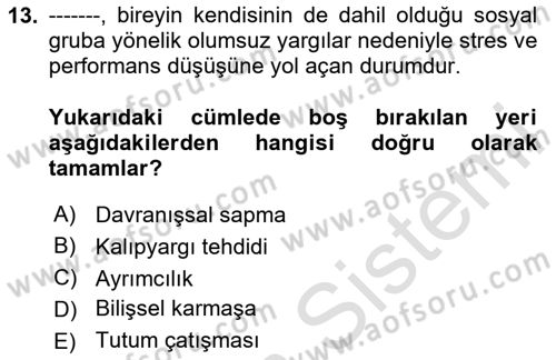 Davranış Bilimleri 2 Dersi 2024 - 2025 Yılı (Final) Dönem Sonu Sınav Soruları 13. Soru