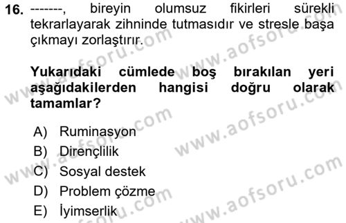 Davranış Bilimleri 2 Dersi 2024 - 2025 Yılı (Final) Dönem Sonu Sınav Soruları 16. Soru