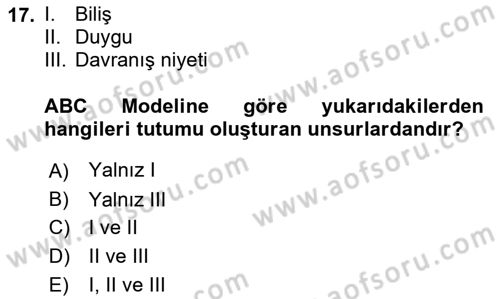Davranış Bilimleri 2 Dersi 2024 - 2025 Yılı (Final) Dönem Sonu Sınav Soruları 17. Soru