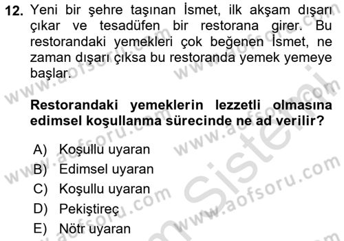 Davranış Bilimleri 2 Dersi 2024 - 2025 Yılı Yaz Okulu Sınav Soruları 12. Soru