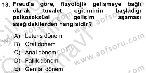 Davranış Bilimleri 2 Dersi 2024 - 2025 Yılı Yaz Okulu Sınav Soruları 13. Soru