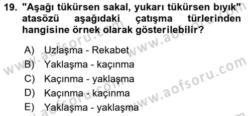 Davranış Bilimleri 2 Dersi 2024 - 2025 Yılı Yaz Okulu Sınav Soruları 19. Soru