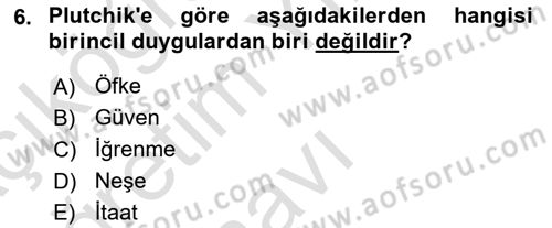 Davranış Bilimleri 2 Dersi 2024 - 2025 Yılı Yaz Okulu Sınav Soruları 6. Soru