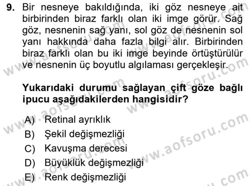 Davranış Bilimleri 2 Dersi 2024 - 2025 Yılı Yaz Okulu Sınav Soruları 9. Soru