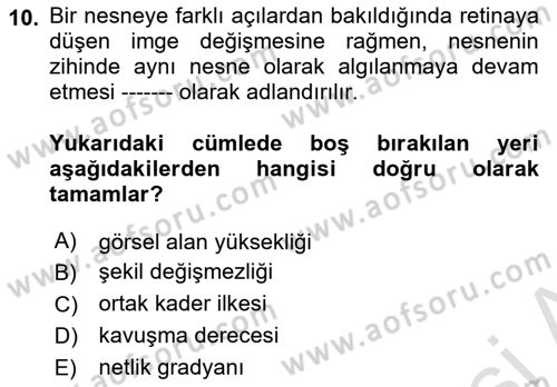 Davranış Bilimleri 2 Dersi 2025 - 2026 Yılı (Vize) Ara Sınav Soruları 10. Soru