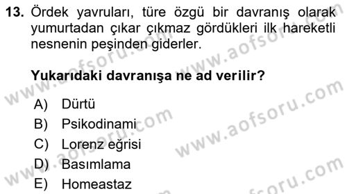 Davranış Bilimleri 2 Dersi 2025 - 2026 Yılı (Vize) Ara Sınav Soruları 13. Soru