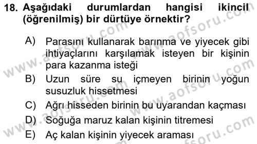 Davranış Bilimleri 2 Dersi 2025 - 2026 Yılı (Vize) Ara Sınav Soruları 18. Soru