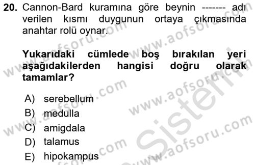Davranış Bilimleri 2 Dersi 2025 - 2026 Yılı (Vize) Ara Sınav Soruları 20. Soru