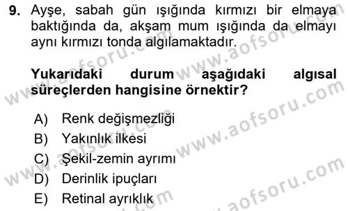 Davranış Bilimleri 2 Dersi 2025 - 2026 Yılı (Vize) Ara Sınav Soruları 9. Soru
