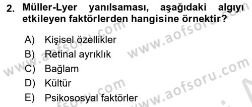 Davranış Bilimleri 2 Dersi 2025 - 2026 Yılı (Final) Dönem Sonu Sınav Soruları 2. Soru