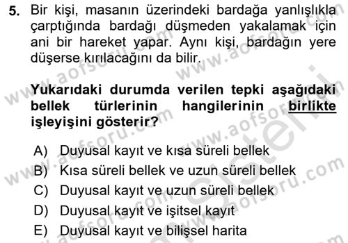 Davranış Bilimleri 2 Dersi 2025 - 2026 Yılı (Final) Dönem Sonu Sınav Soruları 5. Soru