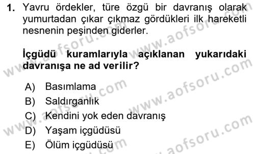 Davranış Bilimleri 2 Dersi 2025 - 2026 Yılı Yaz Okulu Sınav Soruları 1. Soru