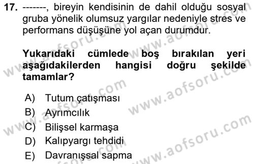 Davranış Bilimleri 2 Dersi 2025 - 2026 Yılı Yaz Okulu Sınav Soruları 17. Soru