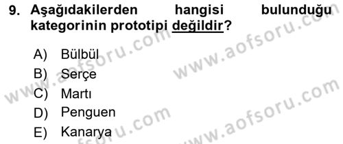 Davranış Bilimleri 2 Dersi 2025 - 2026 Yılı Yaz Okulu Sınav Soruları 9. Soru