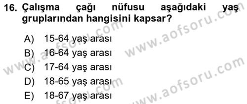Nüfus Ve Toplum Dersi 2023 - 2024 Yılı (Vize) Ara Sınav Soruları 16. Soru