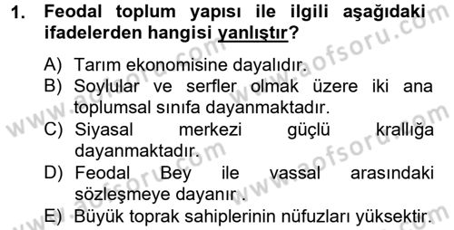 Sosyal Sorunlar Dersi 2012 - 2013 Yılı (Vize) Ara Sınav Soruları 1. Soru