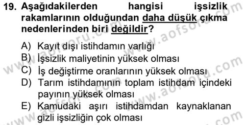 Sosyal Sorunlar Dersi 2012 - 2013 Yılı (Vize) Ara Sınav Soruları 19. Soru