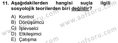 Sosyal Sorunlar Dersi 2012 - 2013 Yılı (Final) Dönem Sonu Sınav Soruları 11. Soru