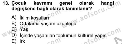 Sosyal Sorunlar Dersi 2012 - 2013 Yılı (Final) Dönem Sonu Sınav Soruları 13. Soru