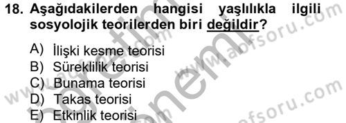 Sosyal Sorunlar Dersi 2012 - 2013 Yılı (Final) Dönem Sonu Sınav Soruları 18. Soru