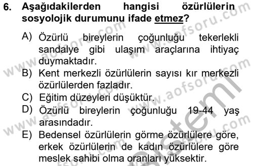 Sosyal Sorunlar Dersi 2012 - 2013 Yılı (Final) Dönem Sonu Sınav Soruları 6. Soru