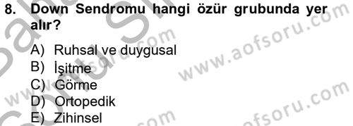 Sosyal Sorunlar Dersi 2012 - 2013 Yılı (Final) Dönem Sonu Sınav Soruları 8. Soru