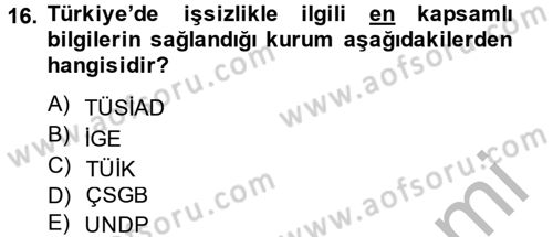 Sosyal Sorunlar Dersi 2013 - 2014 Yılı (Vize) Ara Sınav Soruları 16. Soru