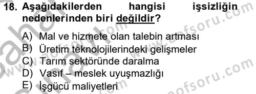 Sosyal Sorunlar Dersi 2013 - 2014 Yılı (Vize) Ara Sınav Soruları 18. Soru