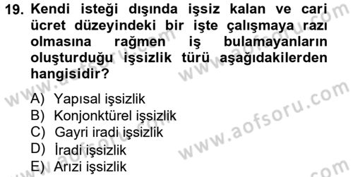Sosyal Sorunlar Dersi 2013 - 2014 Yılı (Vize) Ara Sınav Soruları 19. Soru