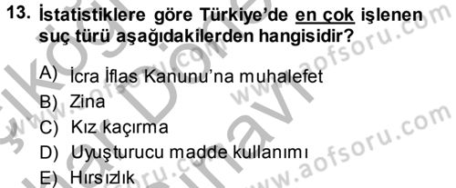 Sosyal Sorunlar Dersi 2013 - 2014 Yılı (Final) Dönem Sonu Sınav Soruları 13. Soru