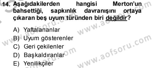 Sosyal Sorunlar Dersi 2013 - 2014 Yılı (Final) Dönem Sonu Sınav Soruları 14. Soru