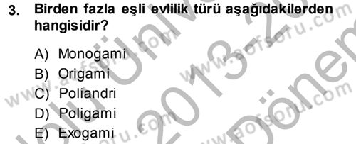 Sosyal Sorunlar Dersi 2013 - 2014 Yılı (Final) Dönem Sonu Sınav Soruları 3. Soru