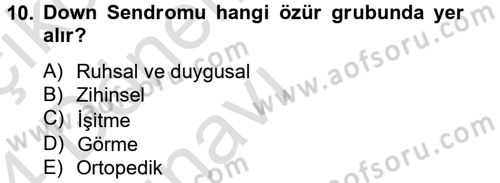 Sosyal Sorunlar Dersi 2013 - 2014 Yılı Tek Ders Sınav Soruları 10. Soru
