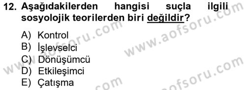 Sosyal Sorunlar Dersi 2013 - 2014 Yılı Tek Ders Sınav Soruları 12. Soru