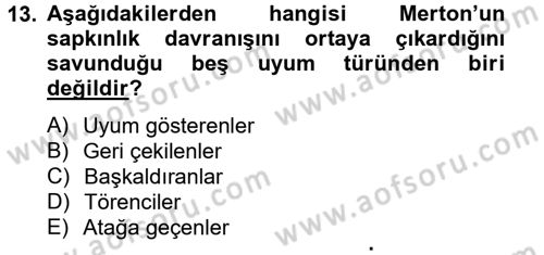Sosyal Sorunlar Dersi 2013 - 2014 Yılı Tek Ders Sınav Soruları 13. Soru