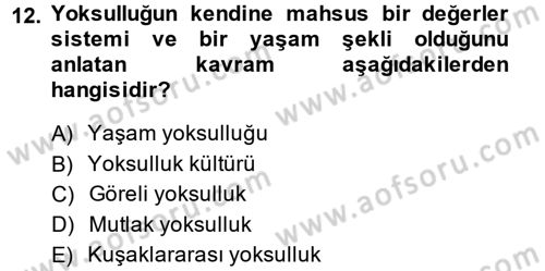 Sosyal Sorunlar Dersi 2014 - 2015 Yılı (Vize) Ara Sınav Soruları 12. Soru