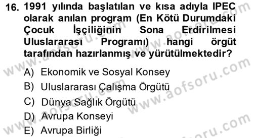 Sosyal Sorunlar Dersi 2014 - 2015 Yılı (Final) Dönem Sonu Sınav Soruları 16. Soru
