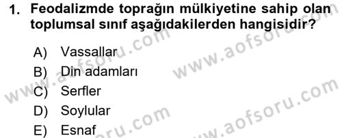 Sosyal Sorunlar Dersi 2015 - 2016 Yılı (Vize) Ara Sınavı 1. Soru