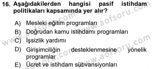 Sosyal Sorunlar Dersi 2015 - 2016 Yılı (Vize) Ara Sınavı 16. Soru