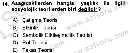 Sosyal Sorunlar Dersi 2015 - 2016 Yılı (Final) Dönem Sonu Sınav Soruları 14. Soru